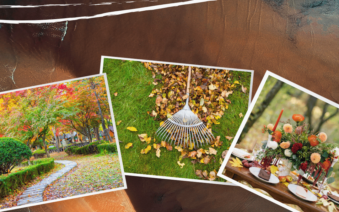 September 14th – Enhance Your Garden