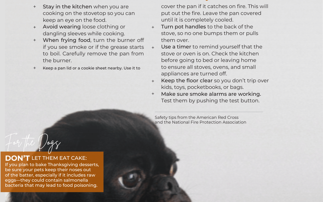 November 15th – Thanksgiving Safety