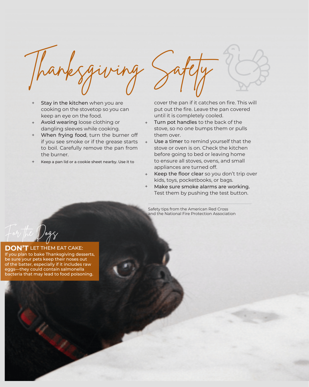 November 15th – Thanksgiving Safety