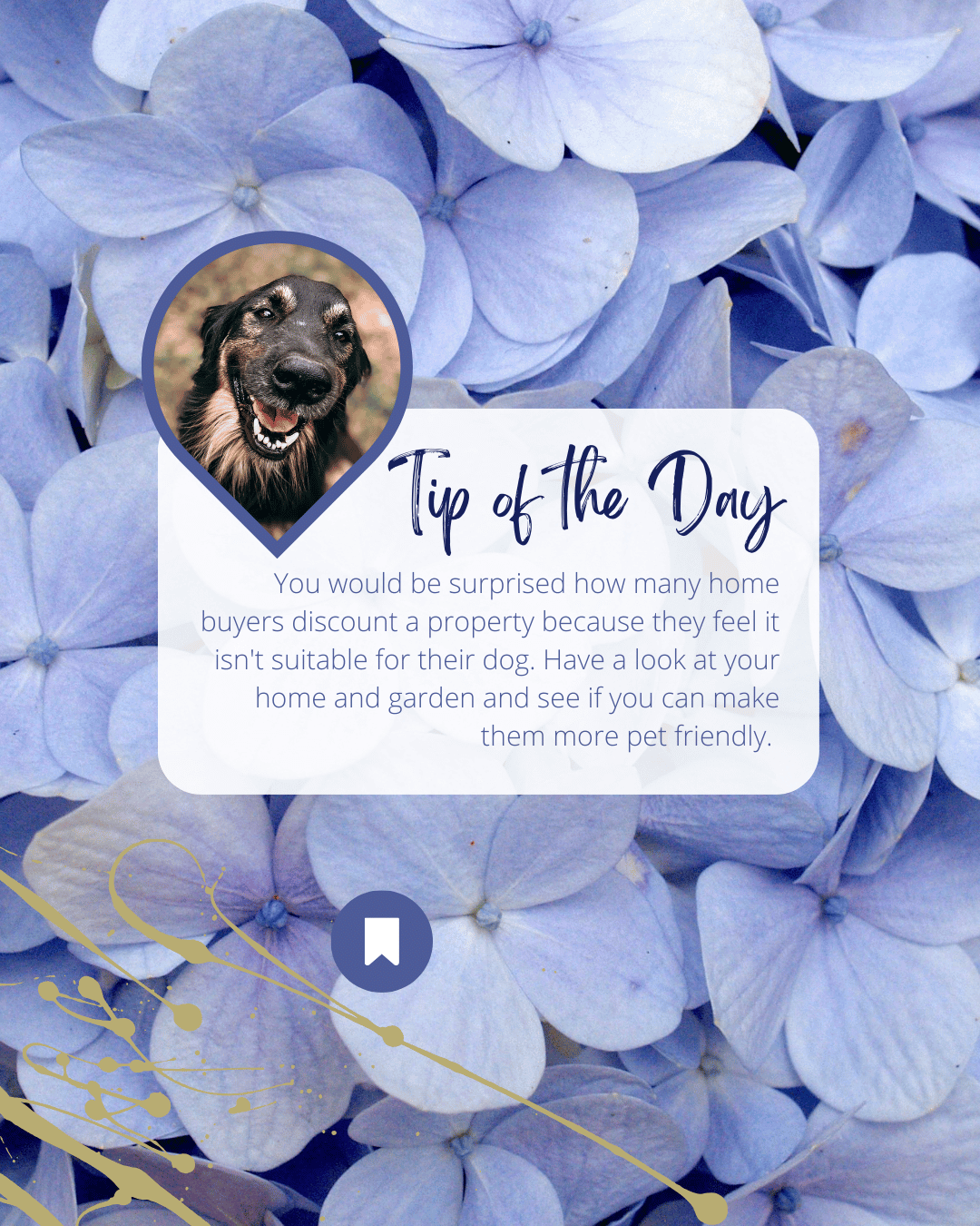 Feb. 21st – Pet Friendly Homes