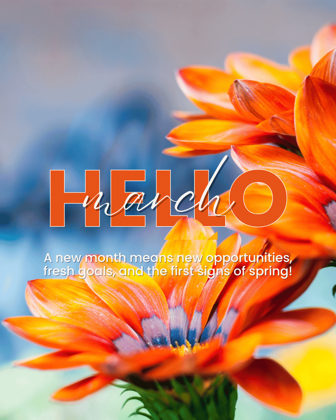 March 1st – Hello March