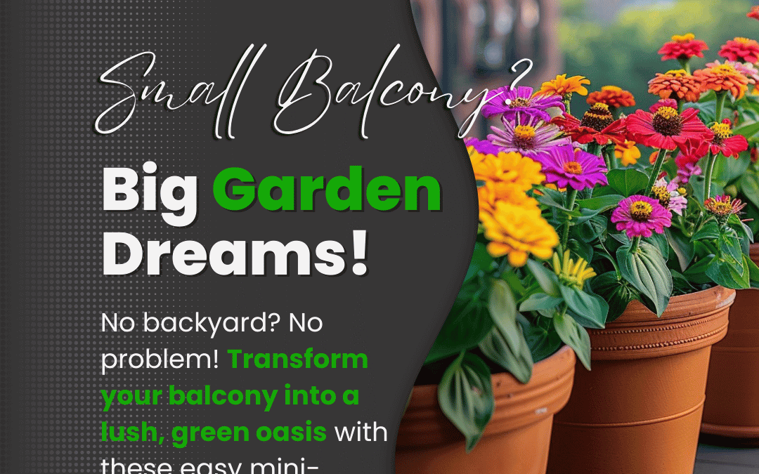 March 19th – Big Garden Dreams?