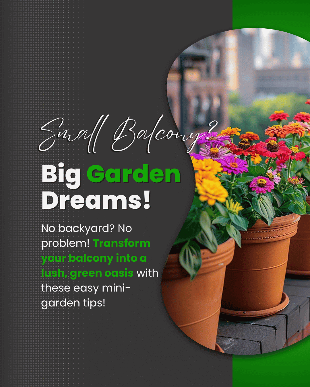 March 19th – Big Garden Dreams?