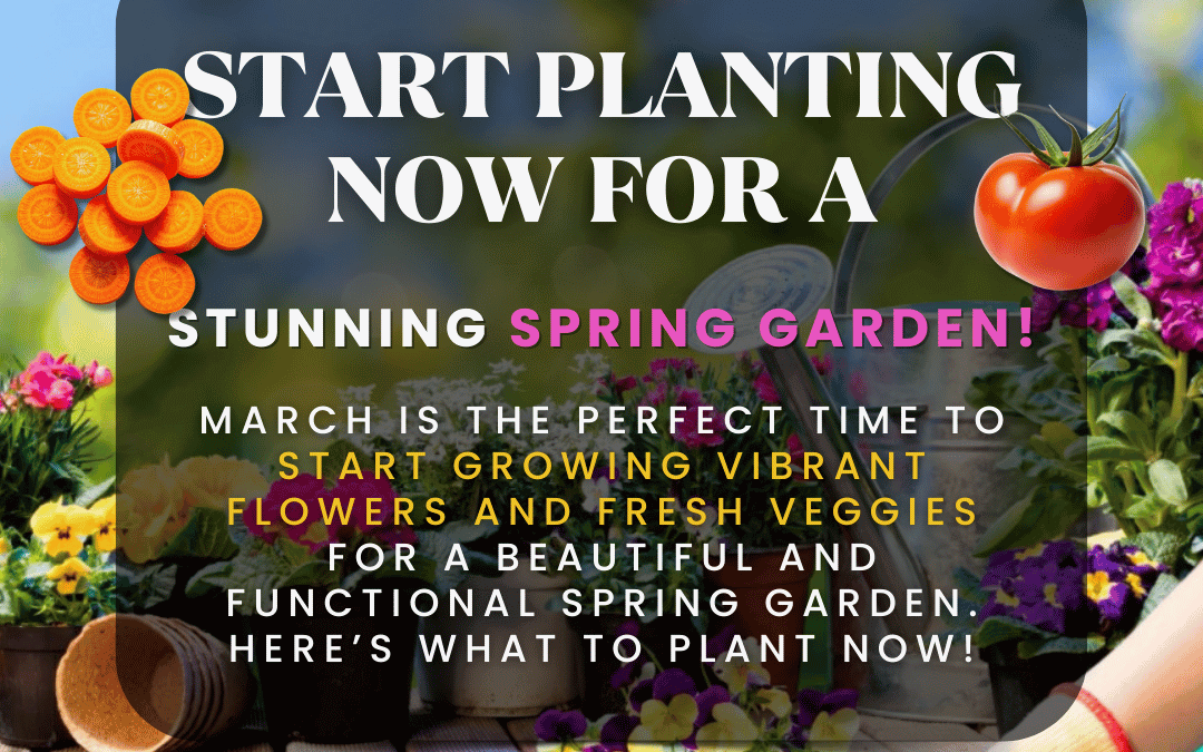 March 21st – Spring Garden