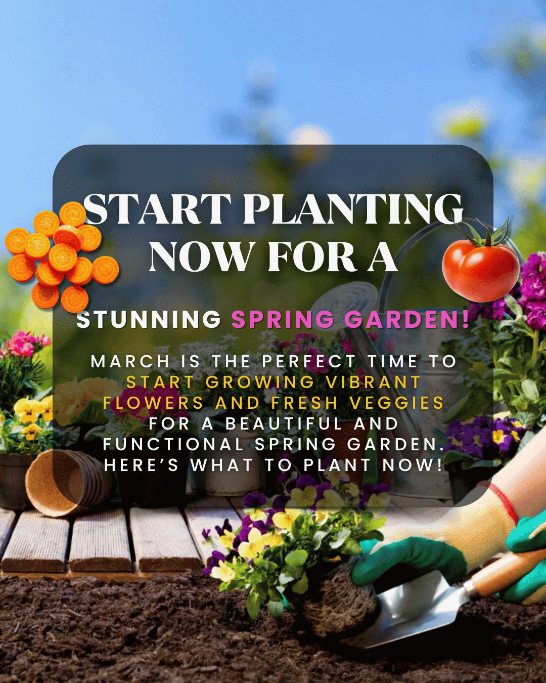 March 21st – Spring Garden