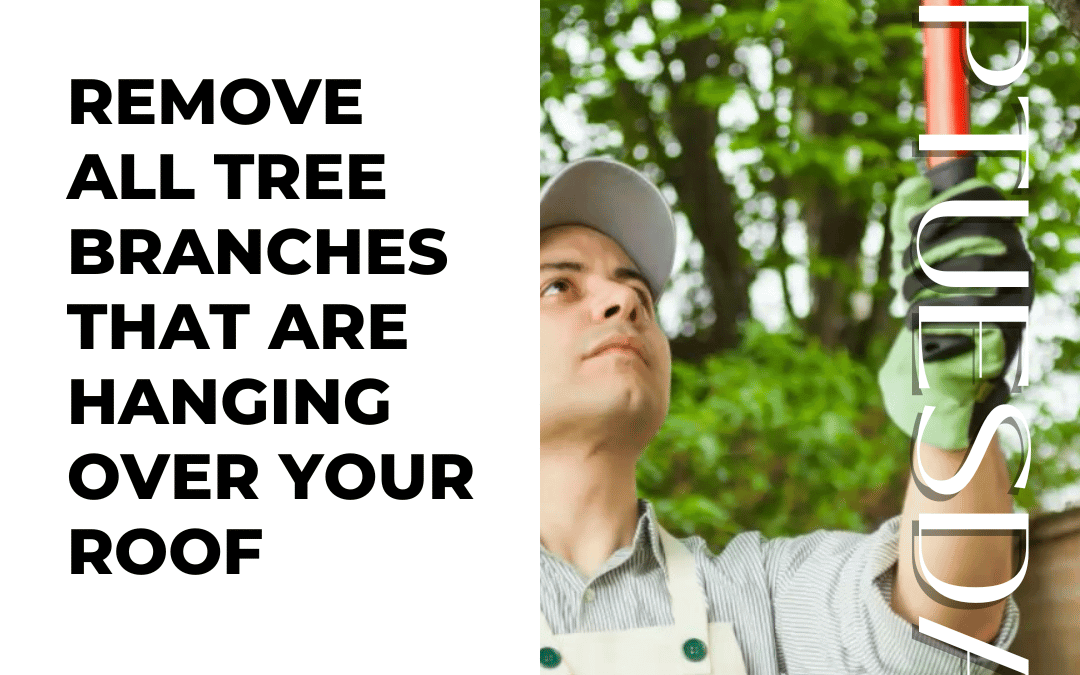 March 17th – Homeowner Tip Tuesday