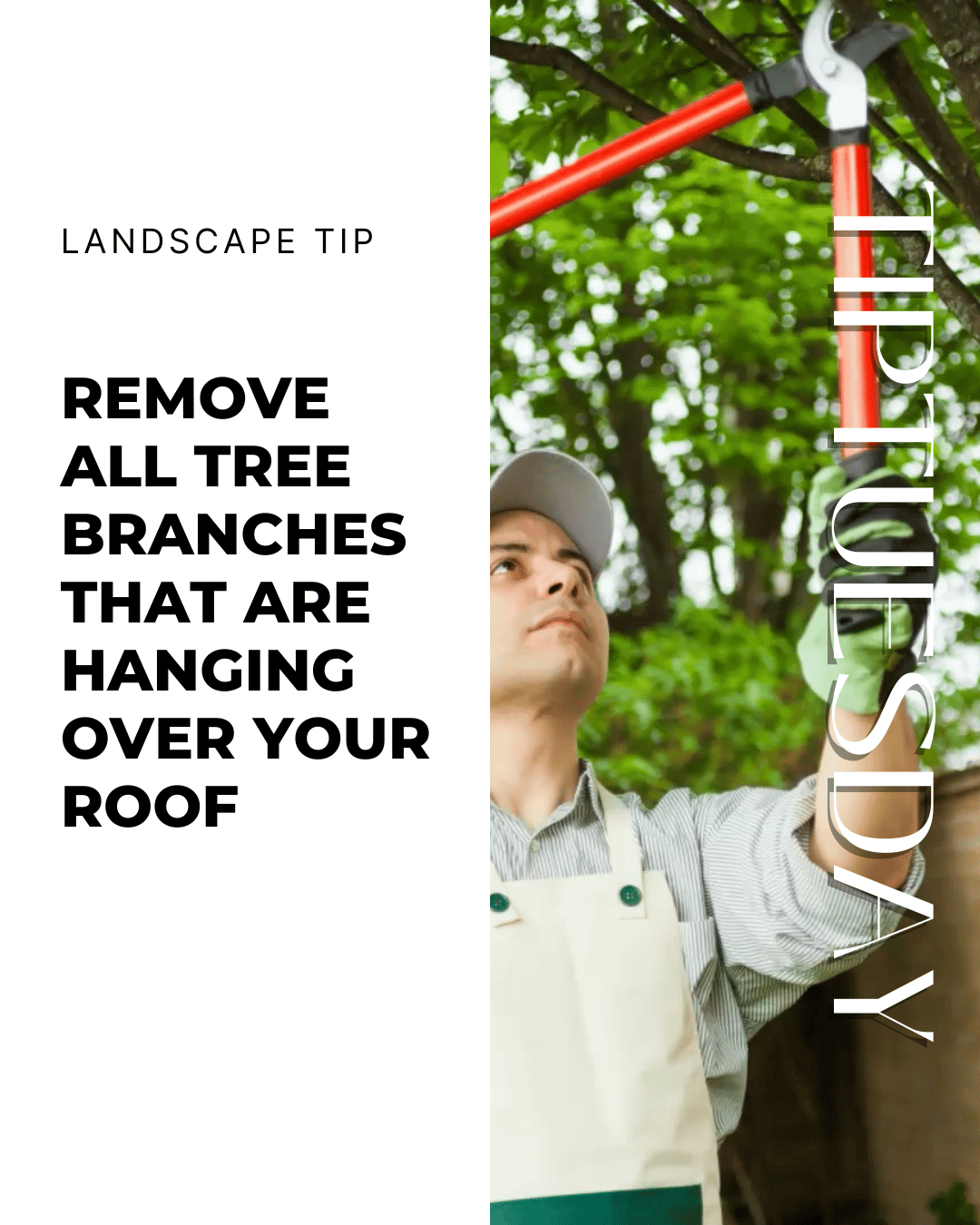 March 17th – Homeowner Tip Tuesday