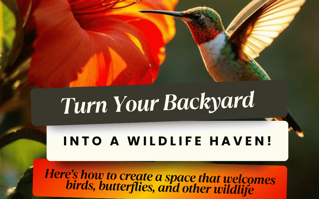 April 17th – Turn you backyard into a haven