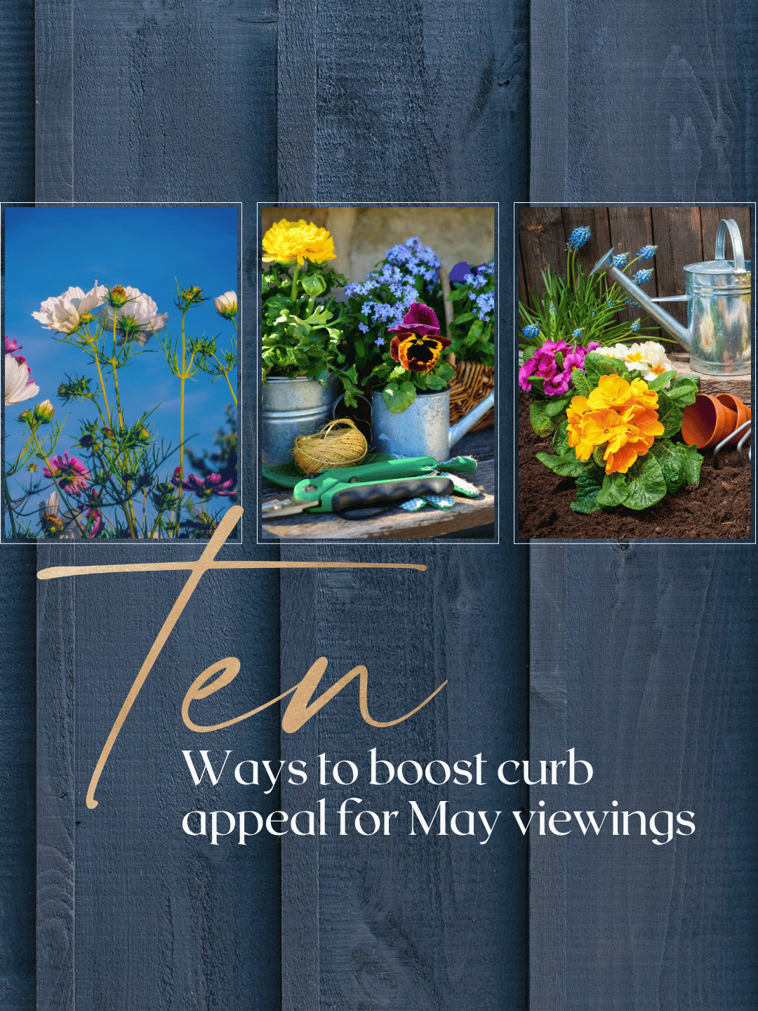 May 17th – Boost Curb Appeal