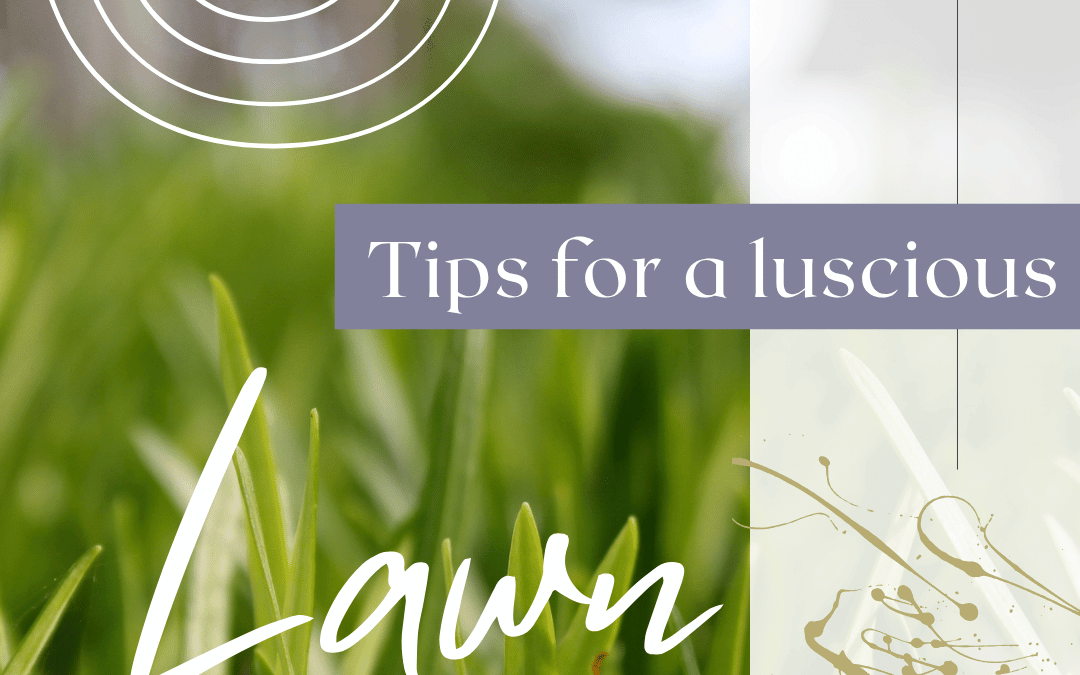 May 24th – 6 Tips for a Luscious Lawn