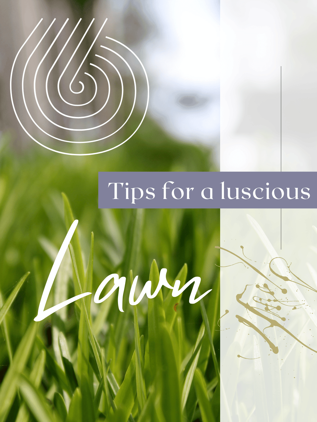 May 24th – 6 Tips for a Luscious Lawn