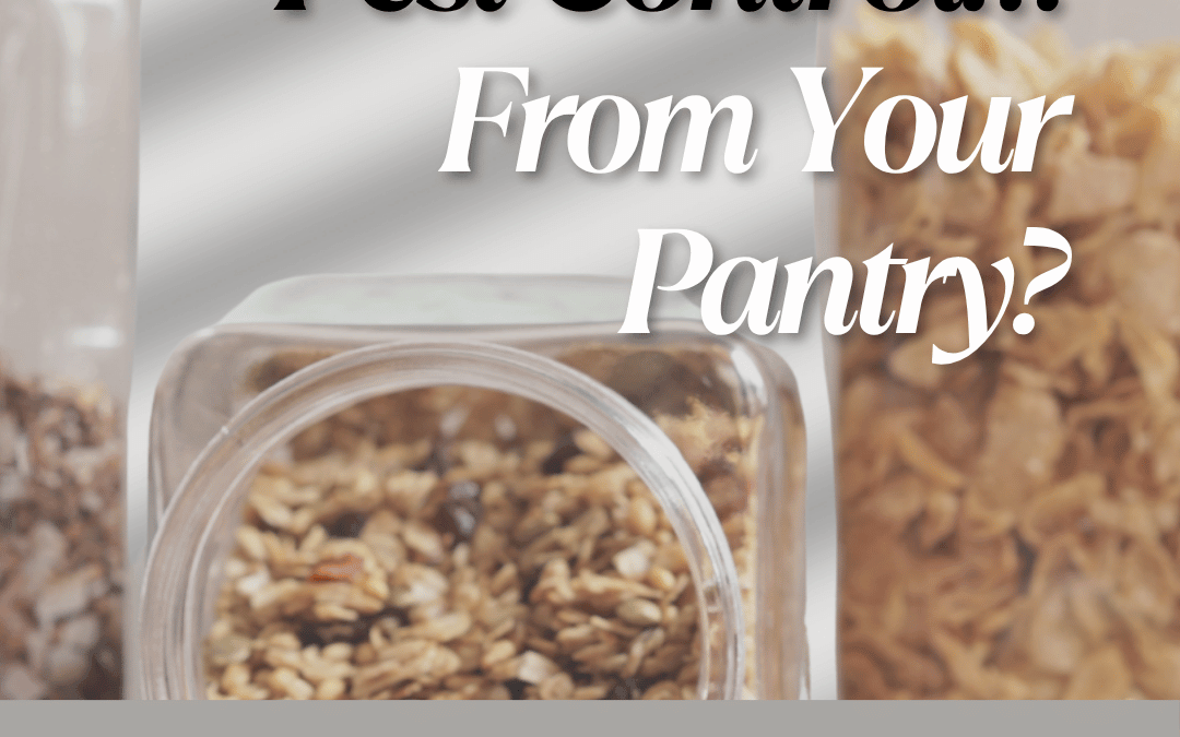 June 15th – Pest Control