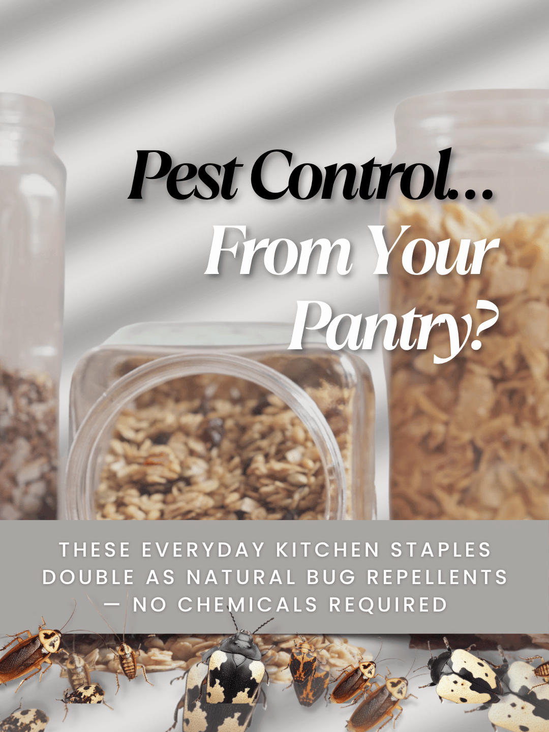 June 15th – Pest Control
