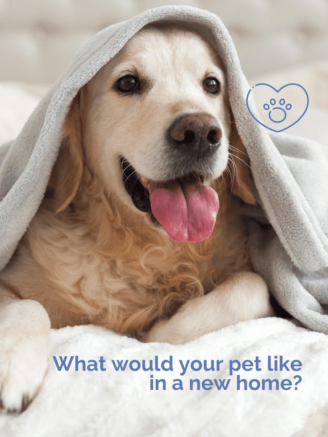 June 10th – Your Pet