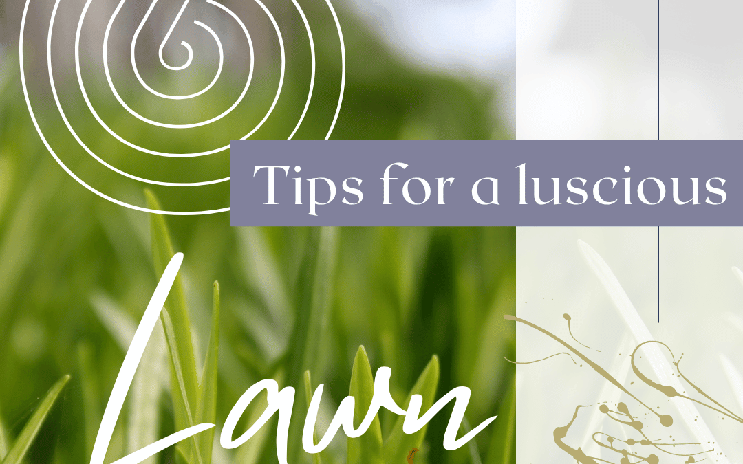 June 12th – 6 Lawn Tips