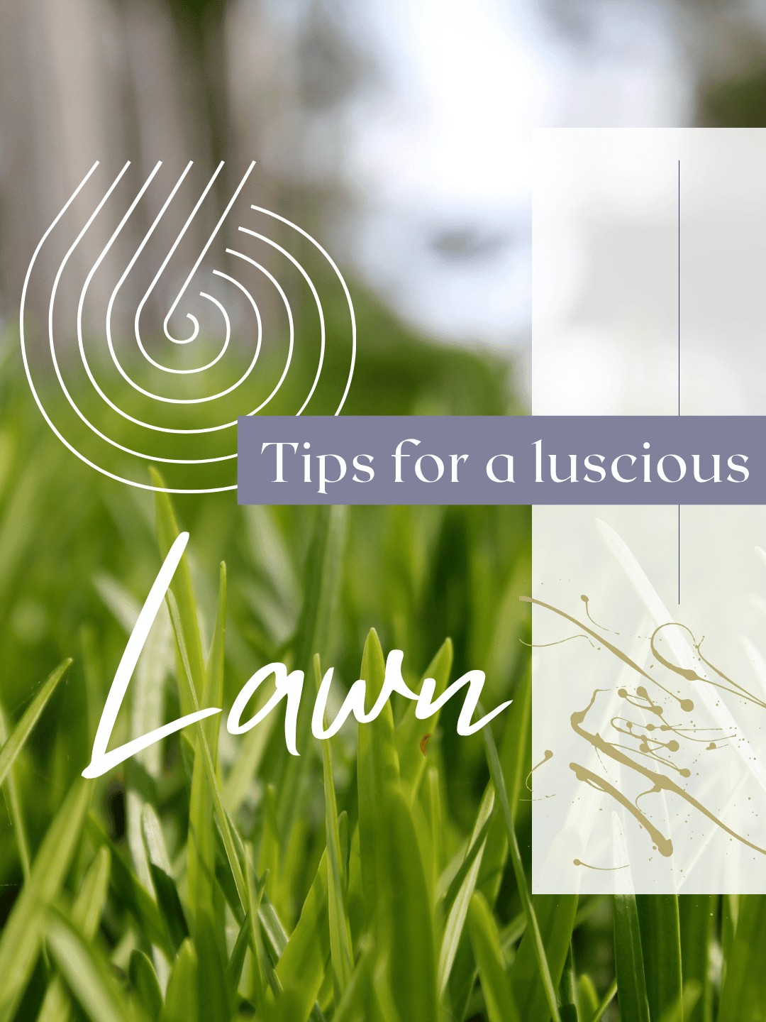 June 12th – 6 Lawn Tips