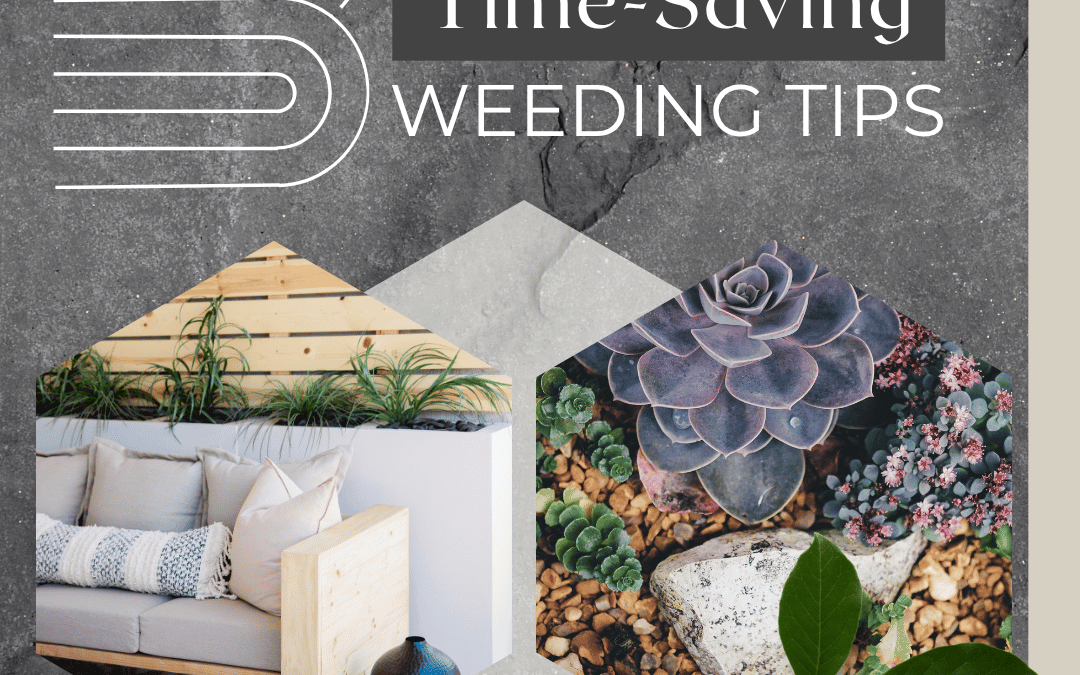 June 14th – 3 Weeding Tips