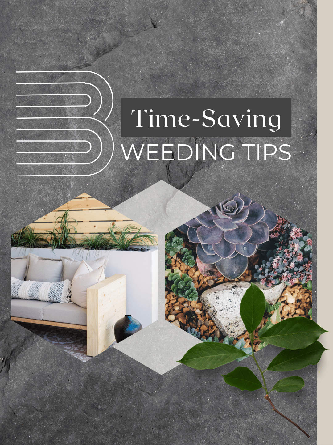 June 14th – 3 Weeding Tips