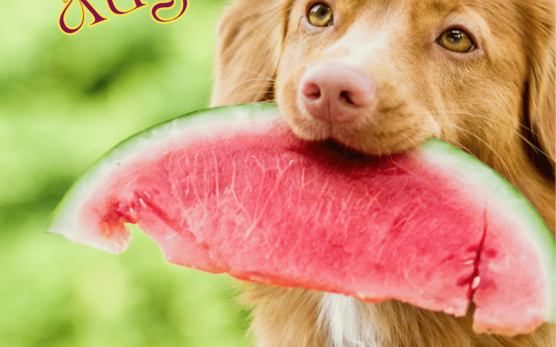 August 1st – Hello August