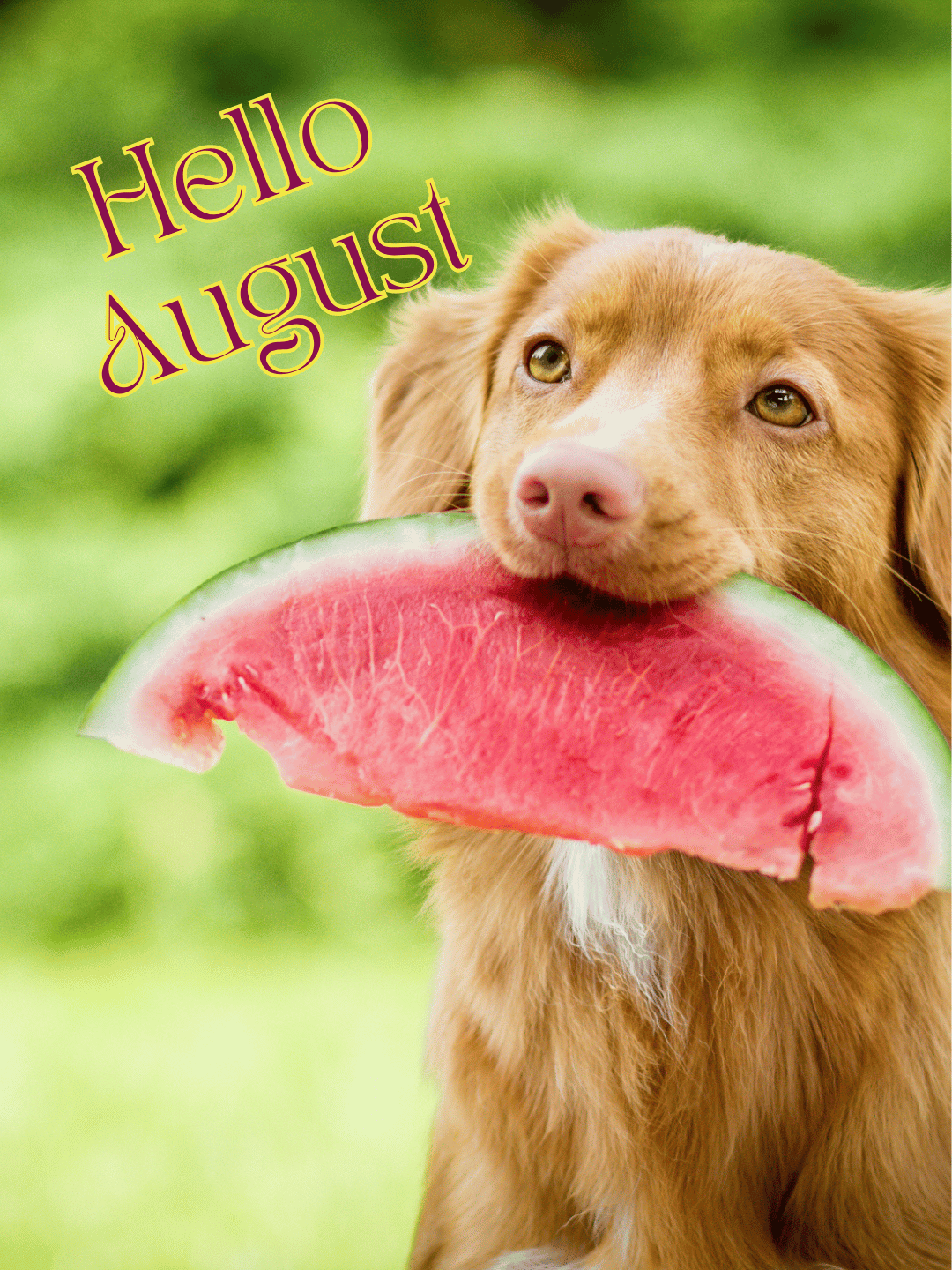 August 1st – Hello August