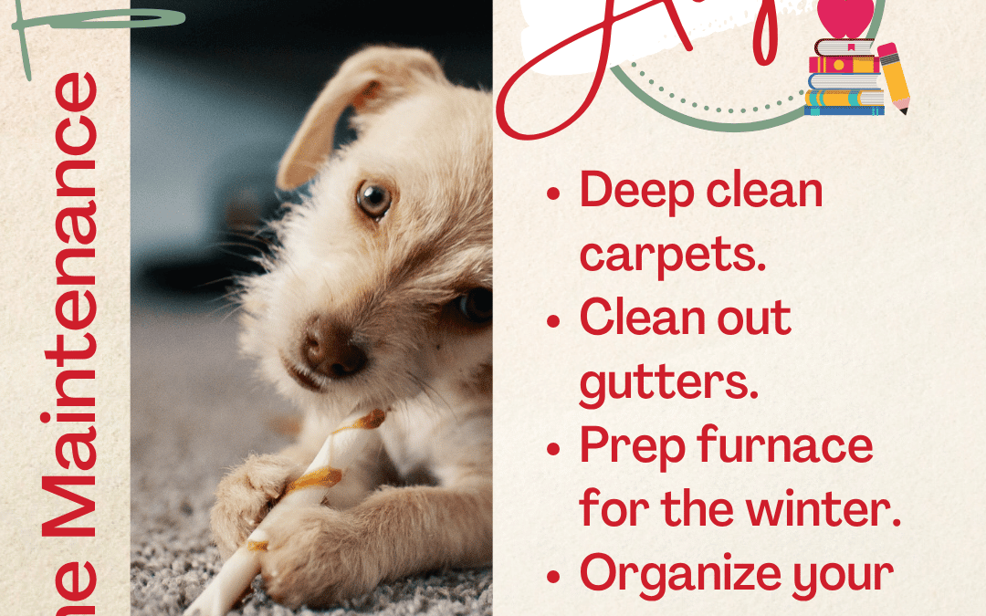 August 2nd – Home Maintenance