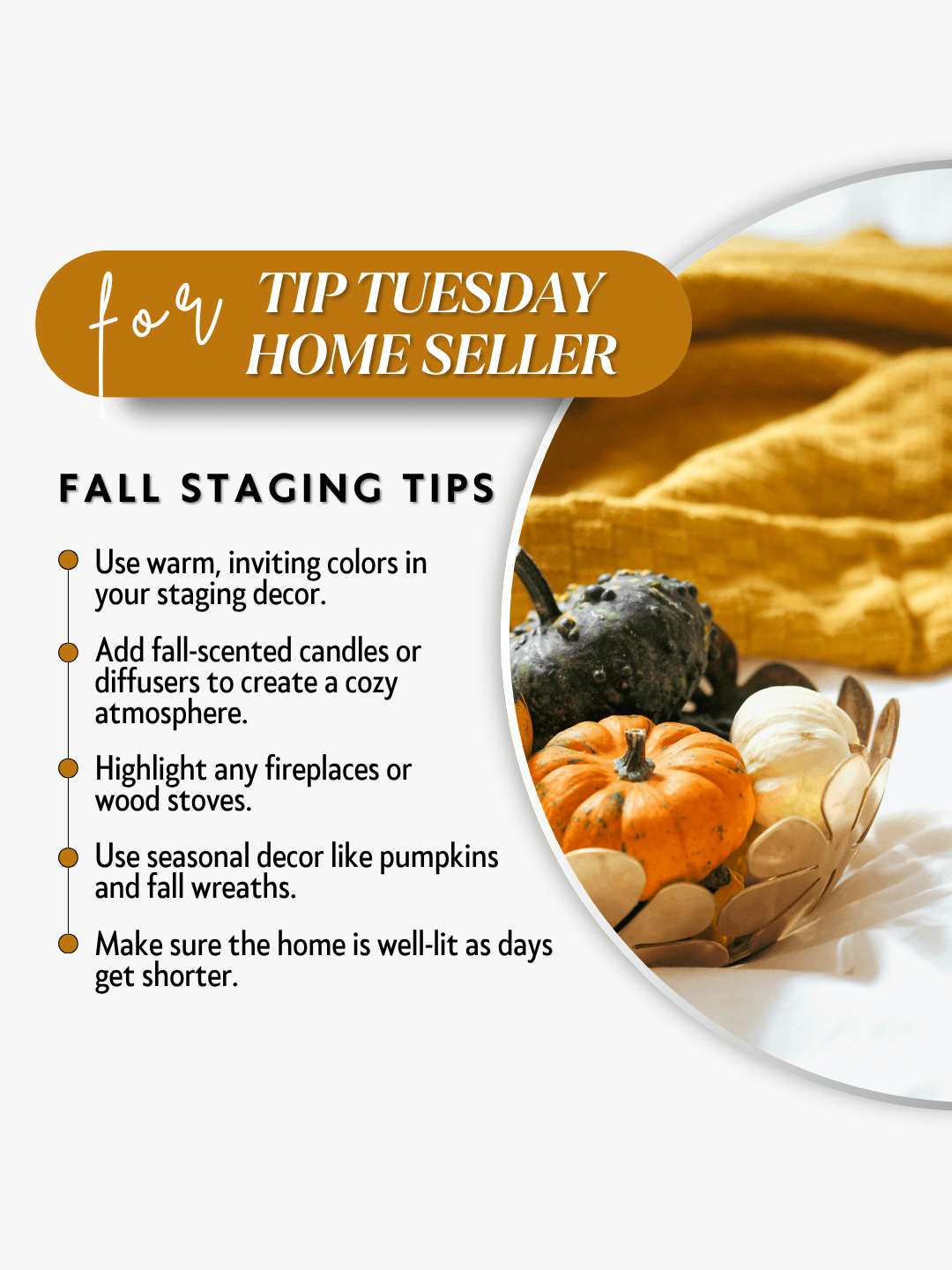 Sept. 15th – Tip Tuesday Seller