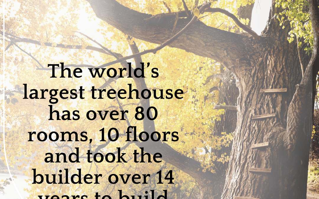 Sept. 3rd – Do You Know?